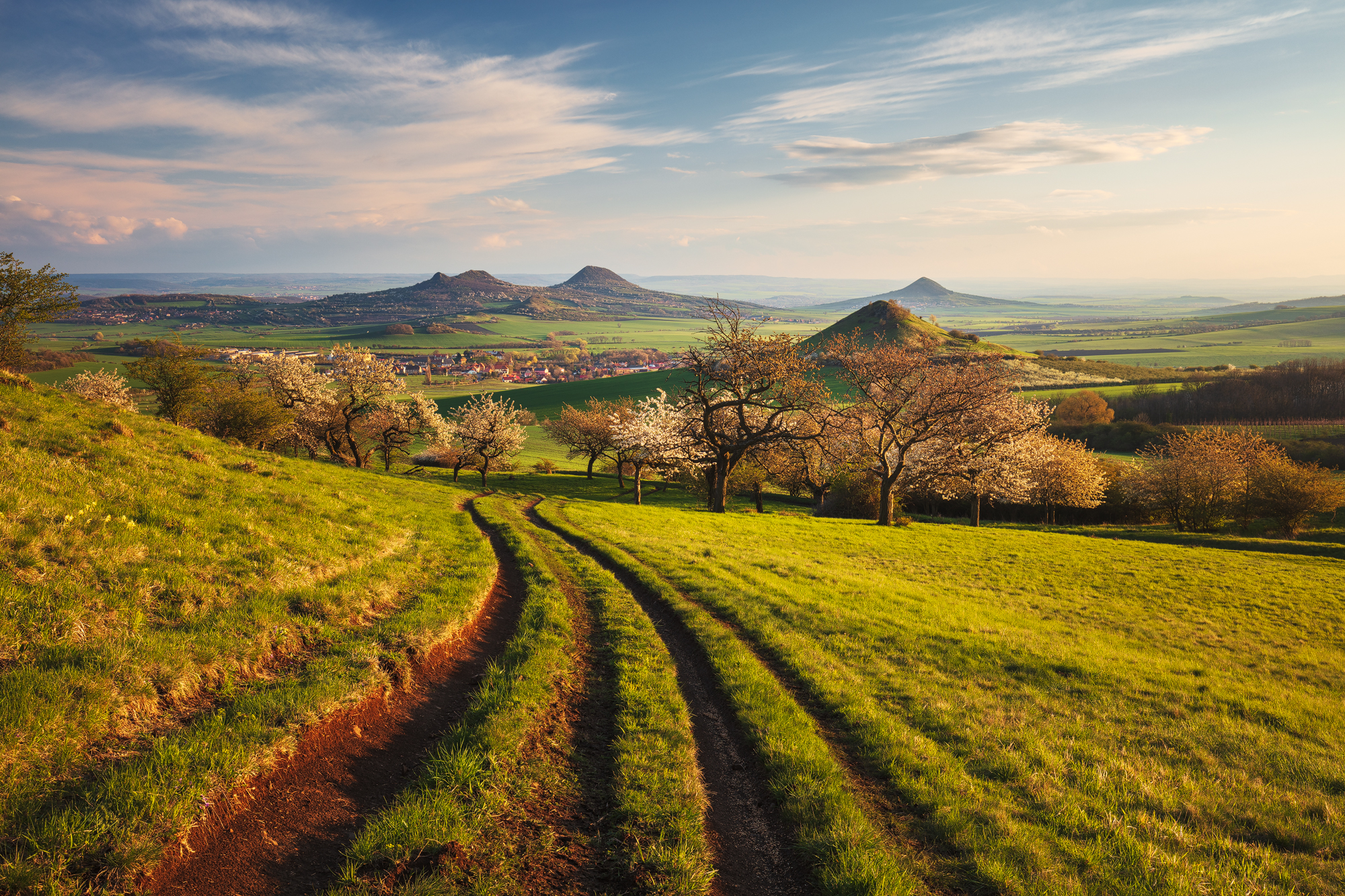 Road to the Orchard