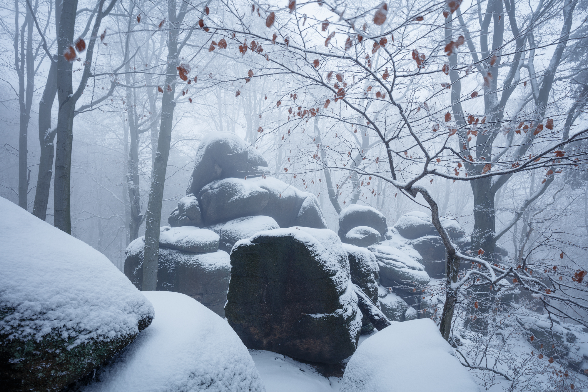 Winter Composition