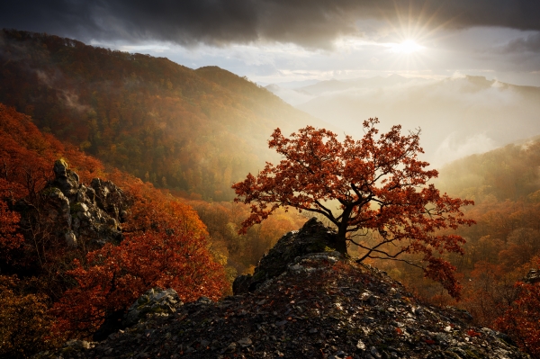 Dramatic Evening Above the Elbe Valley