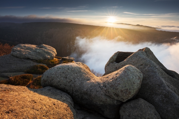 November Inversion