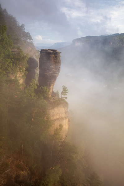 Fog in the Canyon