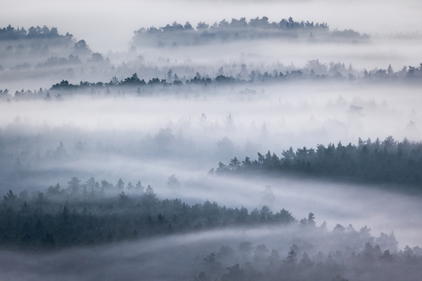 Foggy Layers