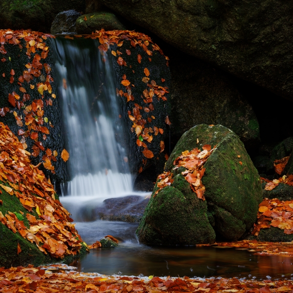 Autumn on the Creek
