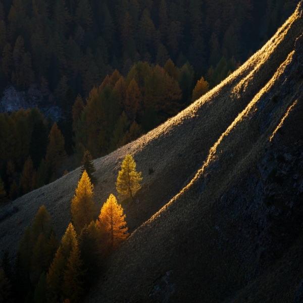 Autumn Candles