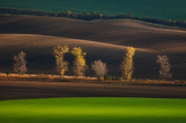 Autumn Waves