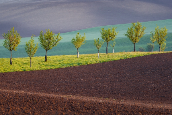 Field Geometry