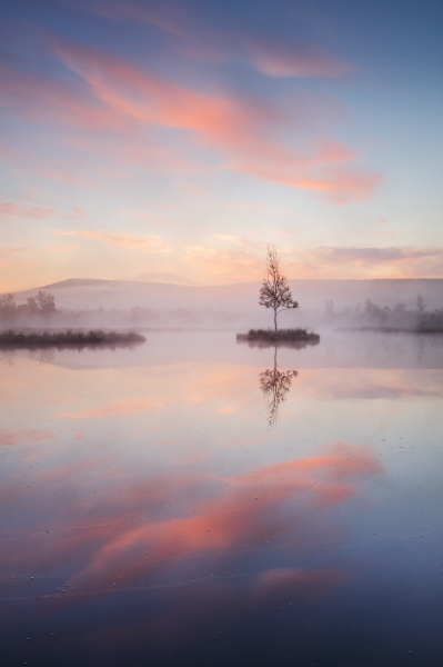 Mirroring in the Bohemian Forest