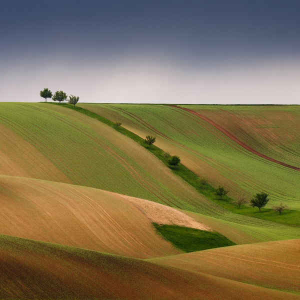 Undulation