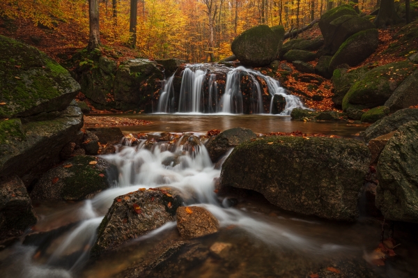 Golden Autumn