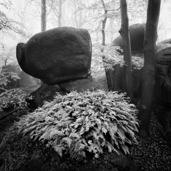 Granite Garden